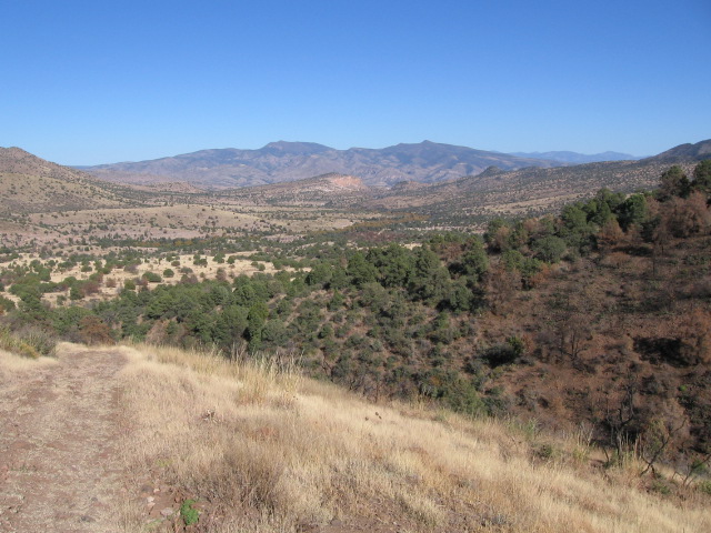 maple peak from pigeon creek trail.JPG